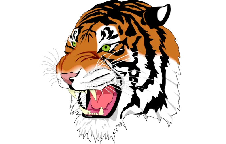 TransformContext - pan-zoom-html-image